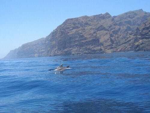 Santiago del Teide El Paraiso En Los Gigantes מראה חיצוני תמונה