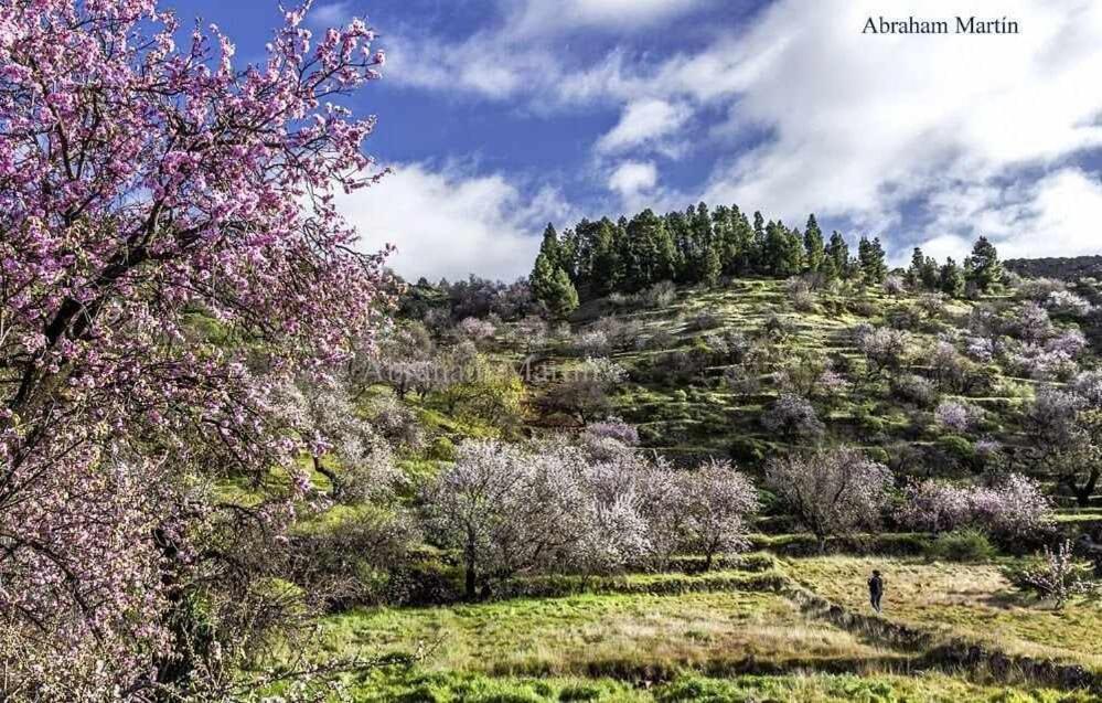 Santiago del Teide El Paraiso En Los Gigantes מראה חיצוני תמונה